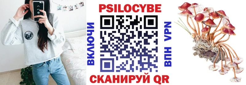 купить наркоту  Белёв  Псилоцибиновые грибы Psilocybine cubensis 